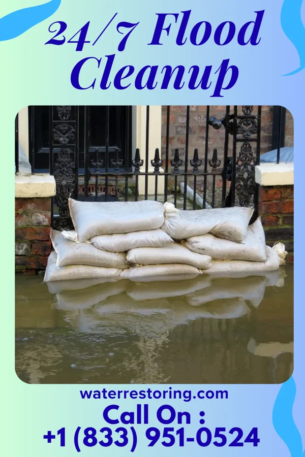 24/7 Flood Cleanup in Turkey Creek, LA