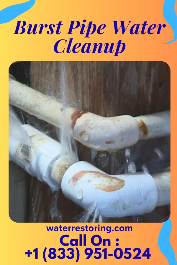 Burst Pipe Water Cleanup in Turkey Creek, LA