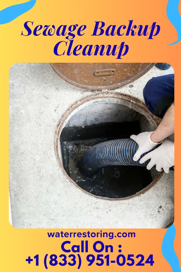 Sewage Backup Cleanup in Turkey Creek, LA