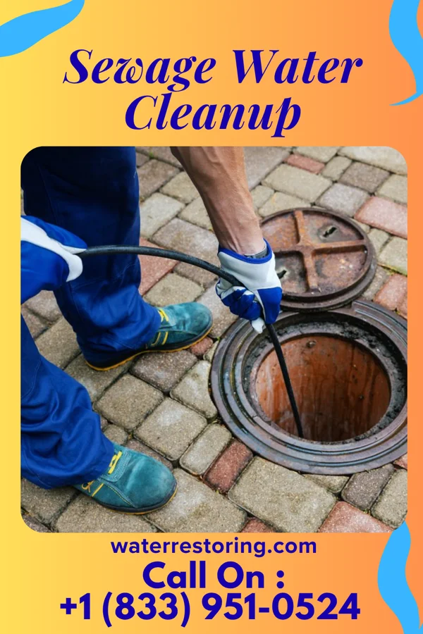 Sewage Water Cleanup in Turkey Creek, LA