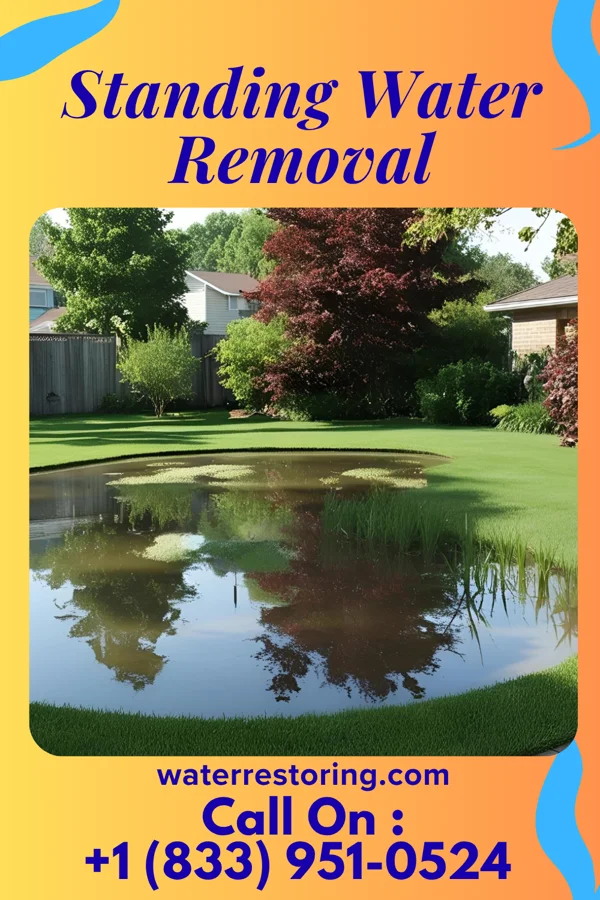Standing Water Removal in Turkey Creek, LA